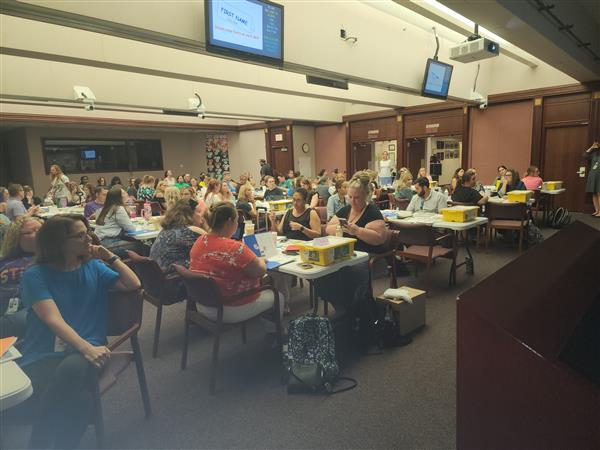 Elementary STEM